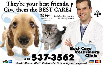 Best Care -Yellow Page Ad
